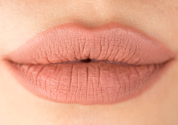 Lips Extreme close up of female lips. nude coloured stock pictures, royalty-free photos & images