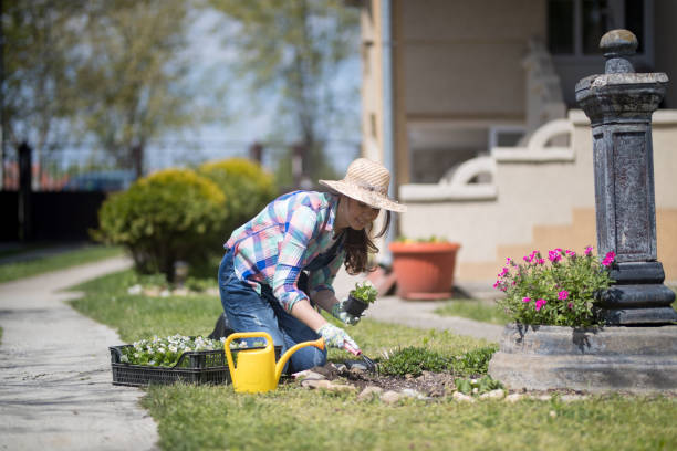 istock Sunny day is perfect for gardening 674047704