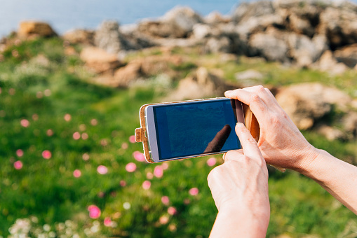 Two hands holding a smartphone taking a picture of some flowers in a natural area
