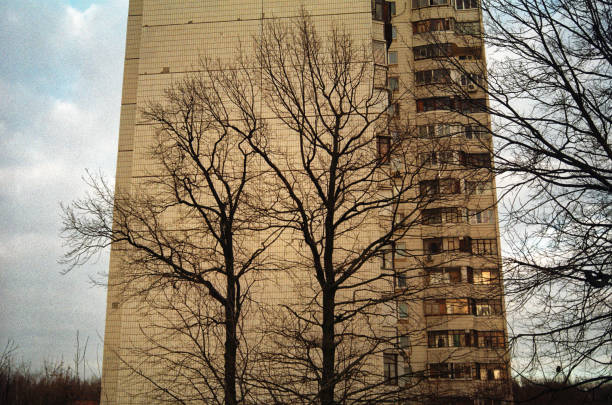 istock winter tree house in the background 674056926