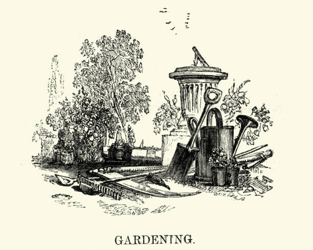 Vintage engraving of Victorian gardening equipment