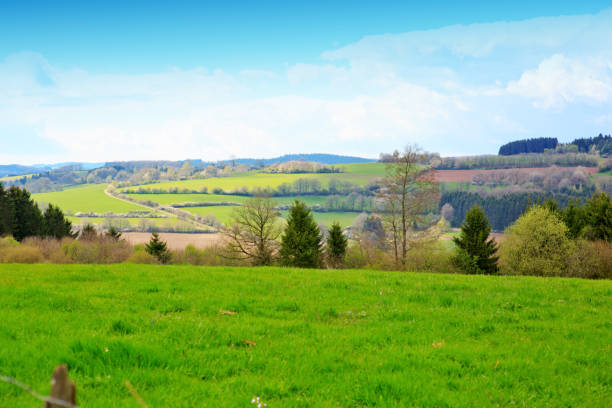 istock Green Grass Field Landscape and trees 674061658