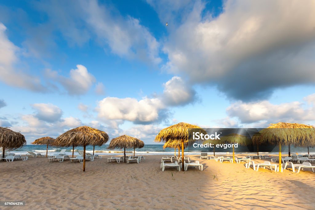 Ombrelloni dorati sulla spiaggia - Foto stock royalty-free di Bulgaria