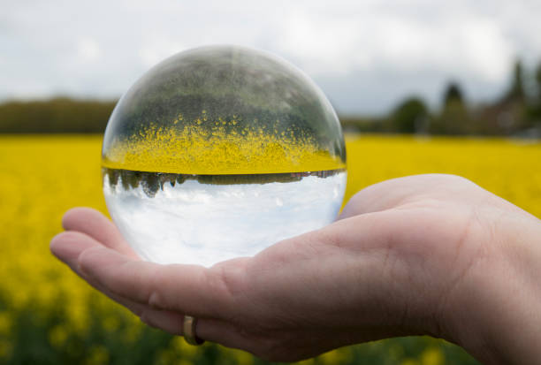 istock Round glass ball rapeseed field 674070882