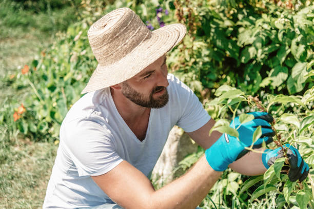 istock bearded handsome gardener with straw hat checking plant in summer garden 674077580