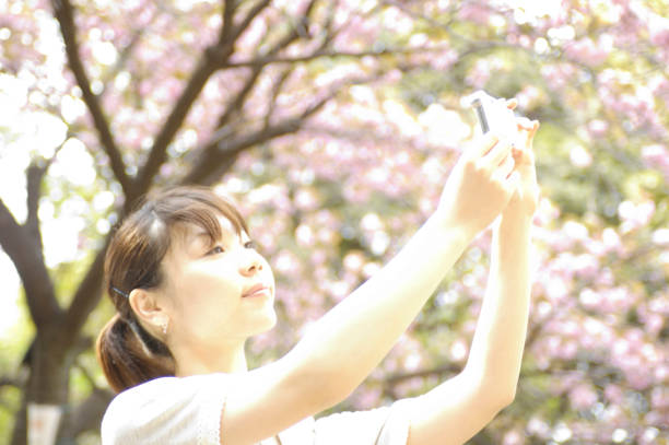 istock Cherry blossoms and women 674096636