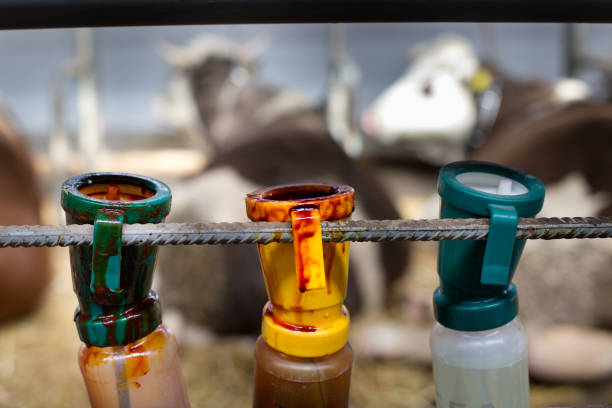 bouteilles pour la désinfection du pis de vache - sterilely photos et images de collection