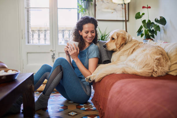 istock Single, woman at home with technology. 674102774