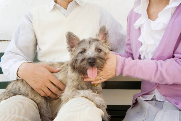 istock The couple petted dogs 674103152