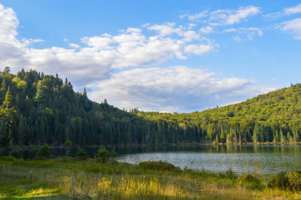 Scenic view from atop a mountain in Mont Tremblant National park.
