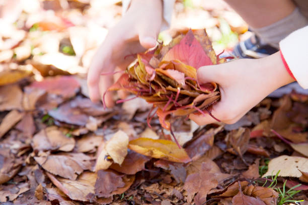 Hand with the fallen leaves