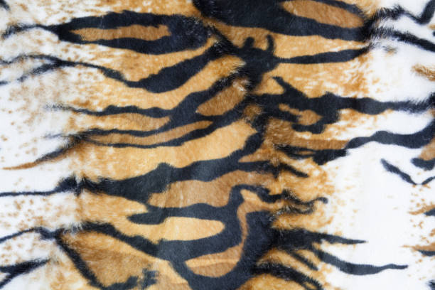 istock texture of tiger skin background 674123494