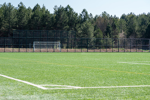 Photo of an artificial grass football field (artificial turf). There is a pine forest on the background.