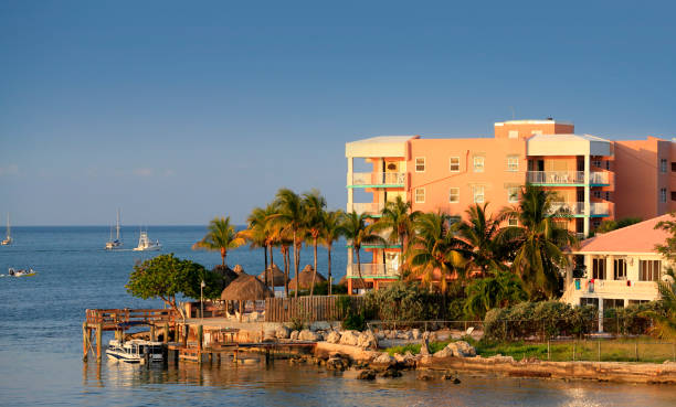 istock Shot this on drive back from Key West to Miami. Florida 674133256