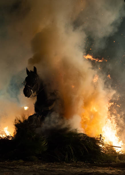 istock Horses jumping above the fire without fear 674133664