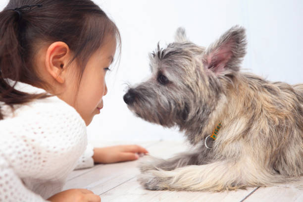istock Dog and girl 674139656