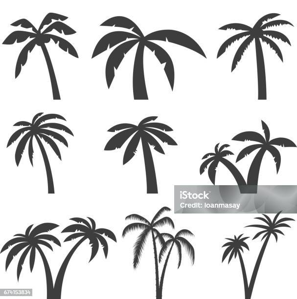 Ilustración de Conjunto De Iconos Del Árbol De Palma Aislada Sobre Fondo Blanco Elementos De Diseño Para El Emblema Signo Etiqueta Menú Ilustración De Vector y más Vectores Libres de Derechos de Palmera