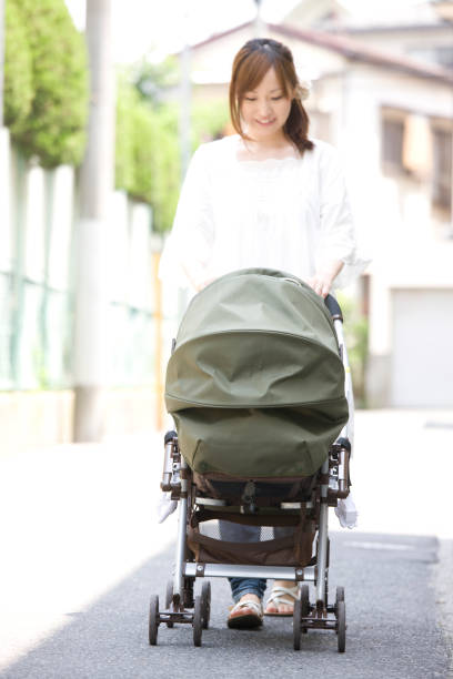 istock Housewife to walk 674160742