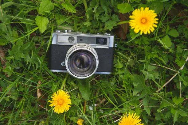 old vintage photo-camera on the green grass with yellow dandelion flowers