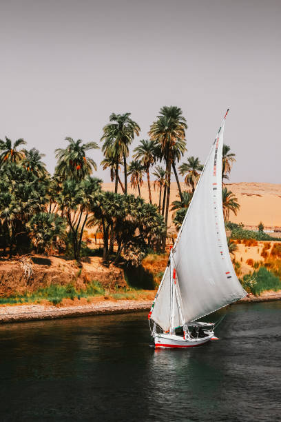 istock Sailboats on the Nile 674164608