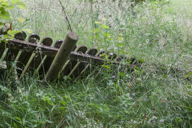 istock Old fence in the grass 674164950