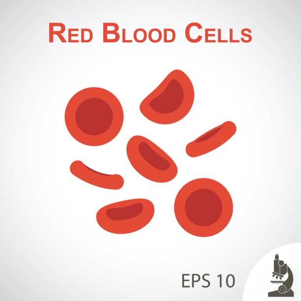 적혈구 (평면 디자인) 소품 배경 - blood cell red blood cell blood cell stock illustrations