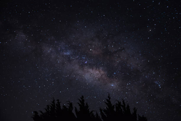 istock Milky way on top of tree , astrophotography . 674181526