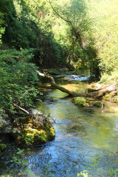 istock The Aniene river near Subiaco 674194838