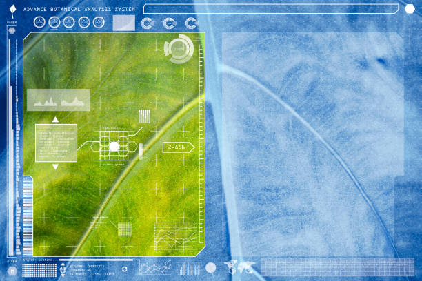 istock Botany information technologies or Plant Biology analysis.chart info mixed media. 674200986