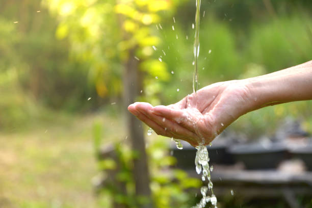 water pouring in woman hand on nature background. - water human hand stream clean imagens e fotografias de stock