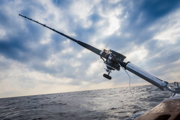 istock The fishing-rod equipped with the coil 674227936