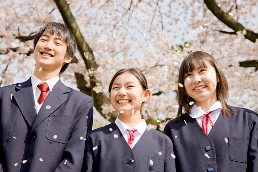 Male and female junior high school students laughing under the cherry blossoms
