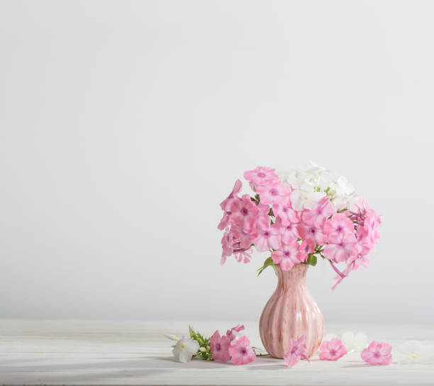 istock flowers in a vase on white background 674237608
