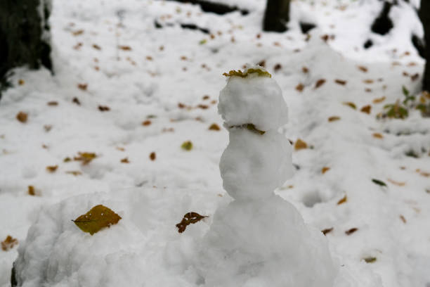 istock Snowman in nature covered in snow during winter. 674238436