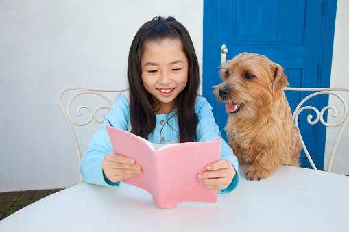 Reading at the table along with the Norfolk terrier girls