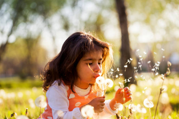 istock Little girl and dandelion 674278868