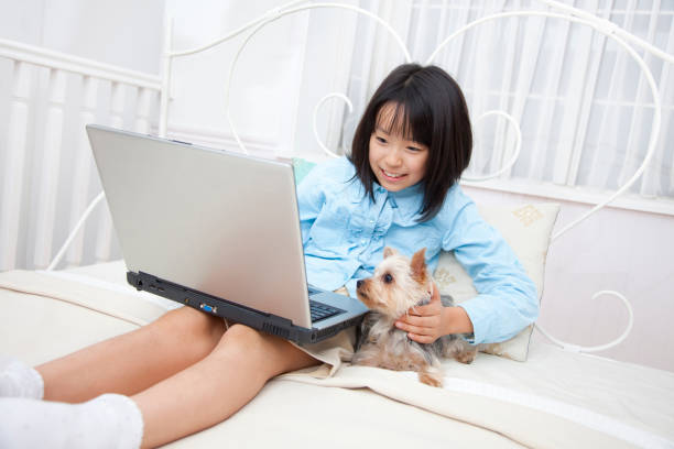 istock Using a PC, hold the Yorkshire Terrier girls 674285196