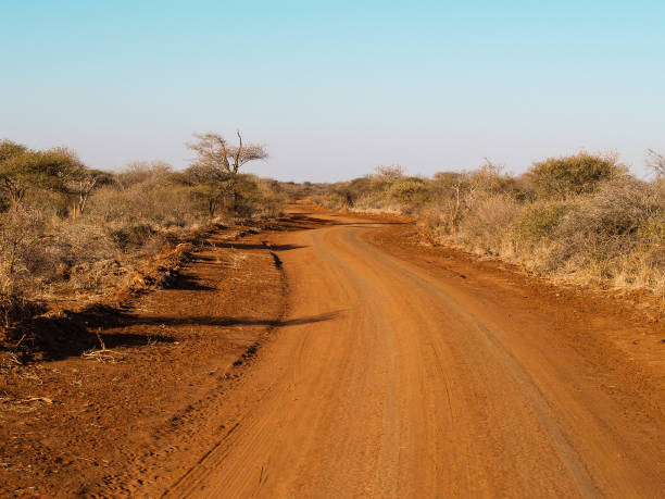 istock Red dirt track winds through African landscape towards horizon. 674285398