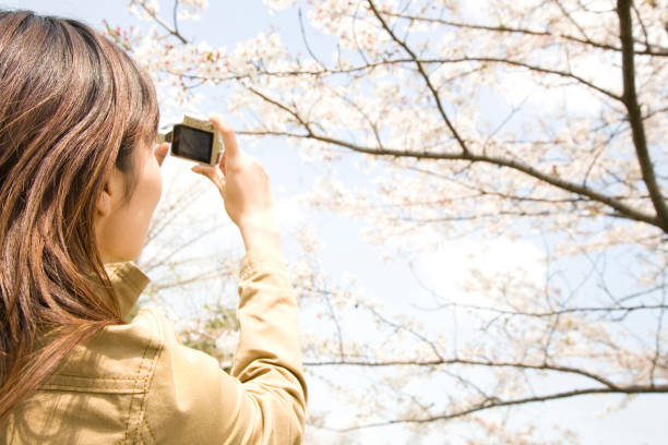 istock Cherry blossoms and women 674292176