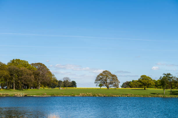 istock Park with Lake and Green Forest, Summer Sun 674292420