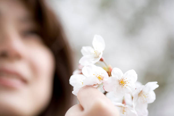 Cherry blossoms and women
