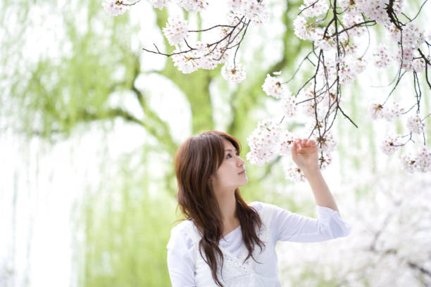 istock Women under the cherry blossoms 674298726