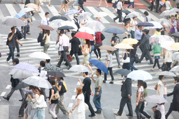 istock People cross the pedestrian crossing 674302742