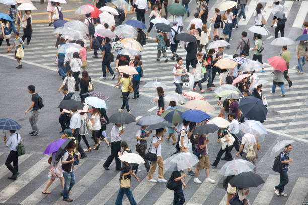 istock People cross the pedestrian crossing 674302816