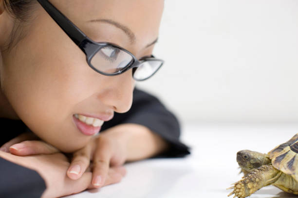 istock The turtle and the business 674303278