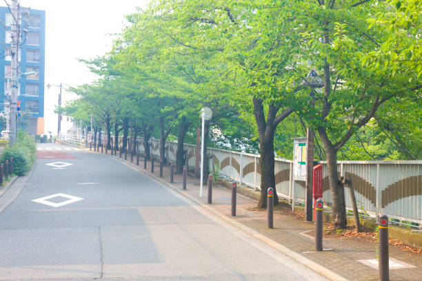 istock Along the Meguro River Road 674308736