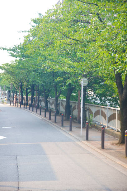 istock Along the Meguro River Road 674308744