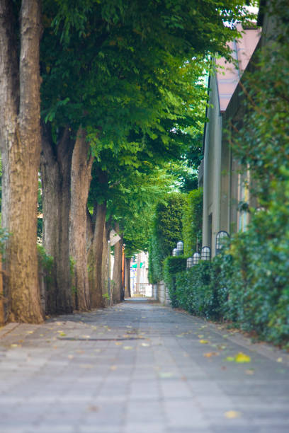 istock Meguro Street 674309358