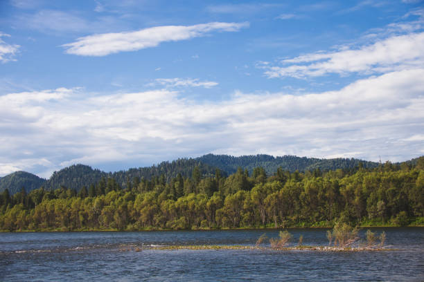 istock Biya river landscape. Altai. Russia 674311850