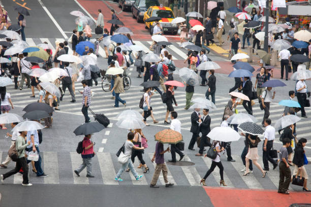 istock People cross the pedestrian crossing 674321852